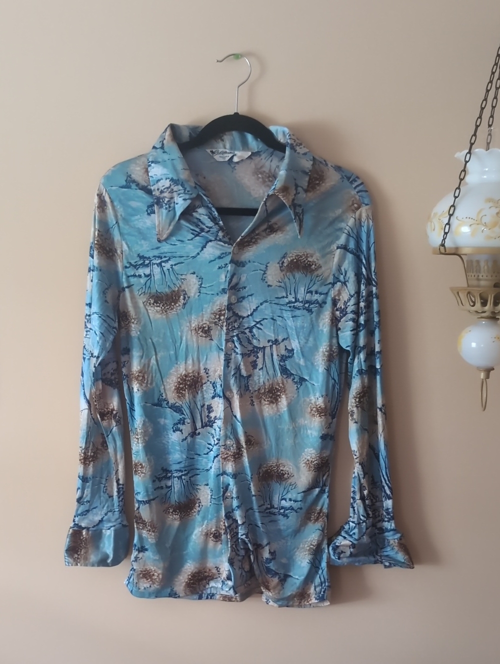 Blue Wintery Scene Button-Up Blouse - Women's Top